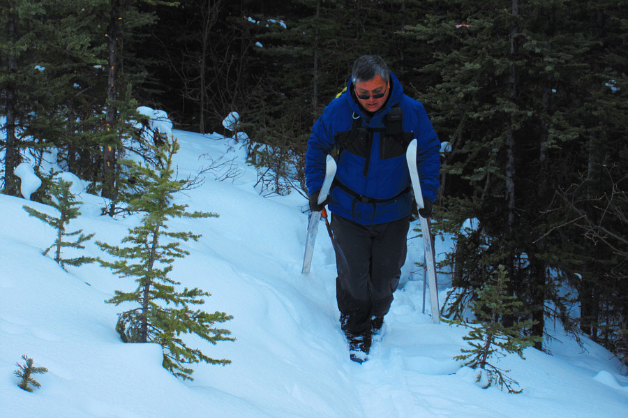Everyone should take their skis for a walk!
