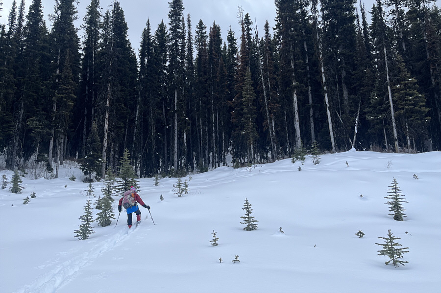 Crazy how hard it was to climb up this short rise!