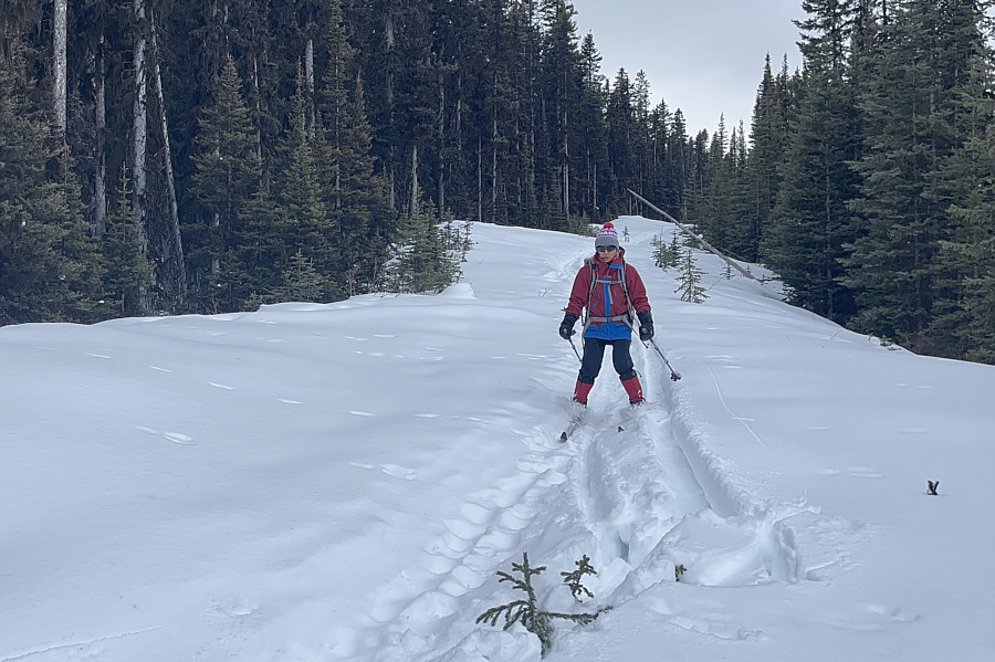 Needed more of this!