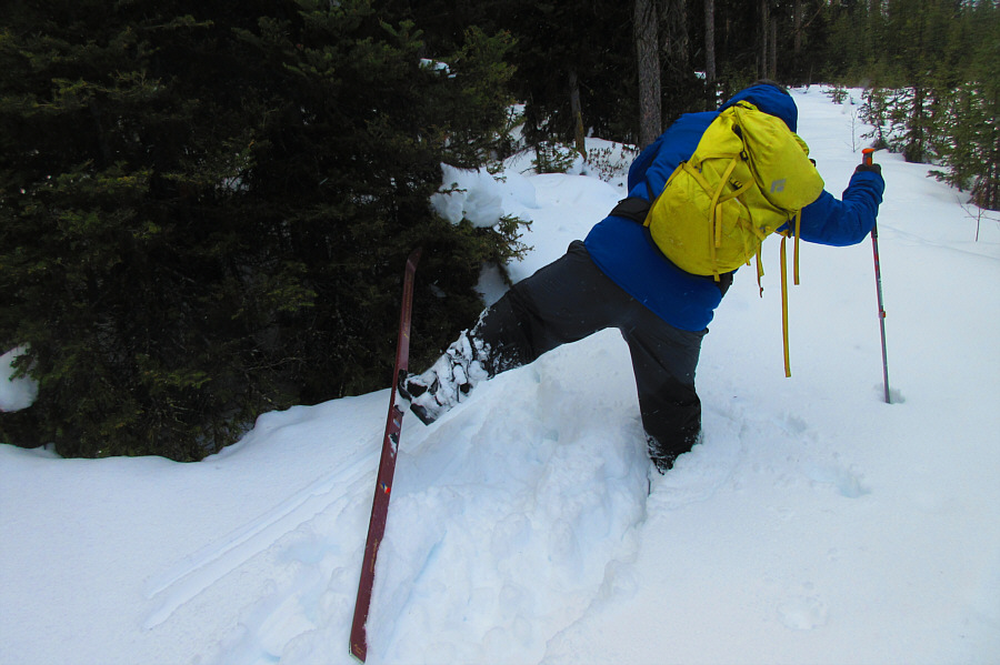 Like a dog, I p*ss on this corridor!