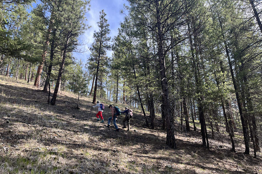 This will get your heart rate up!