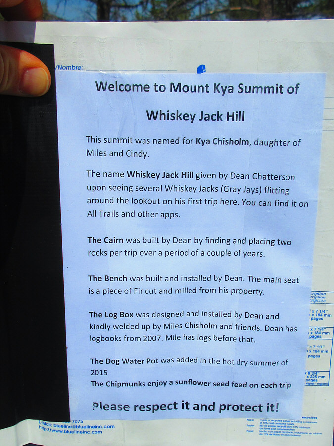 It's the chipmunks, of course!