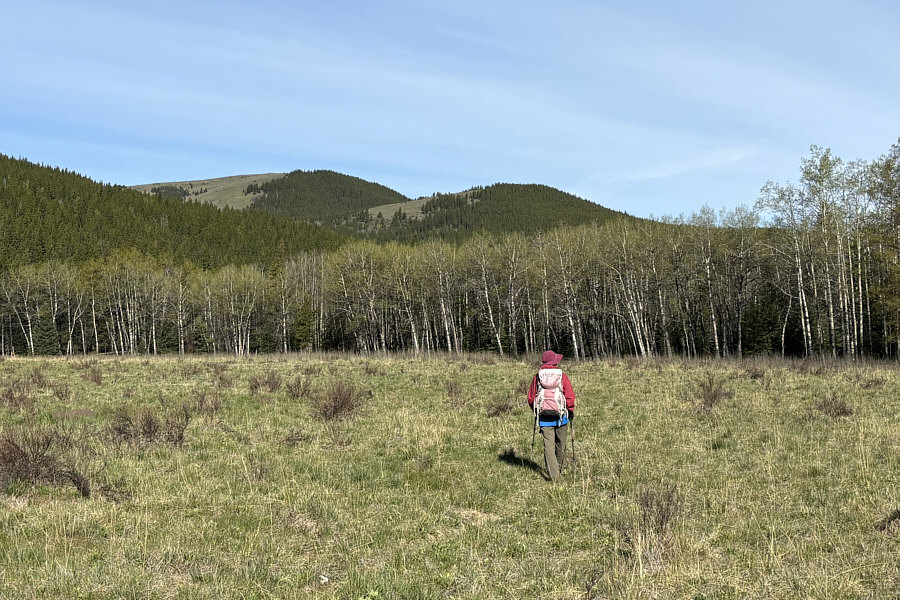 Look for lots of Columbian ground squirrels here. Squeak!