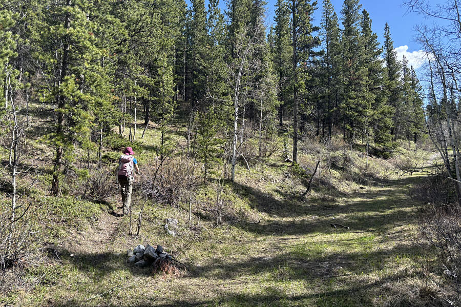 This trail heads up HP3, but we will leave it soon...