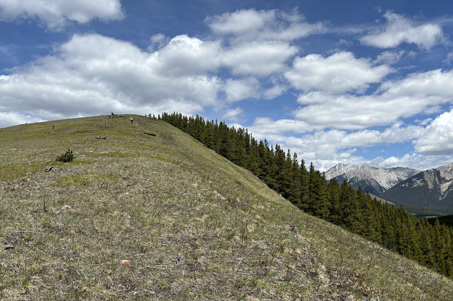 Hmmm...looks just like the other hill!