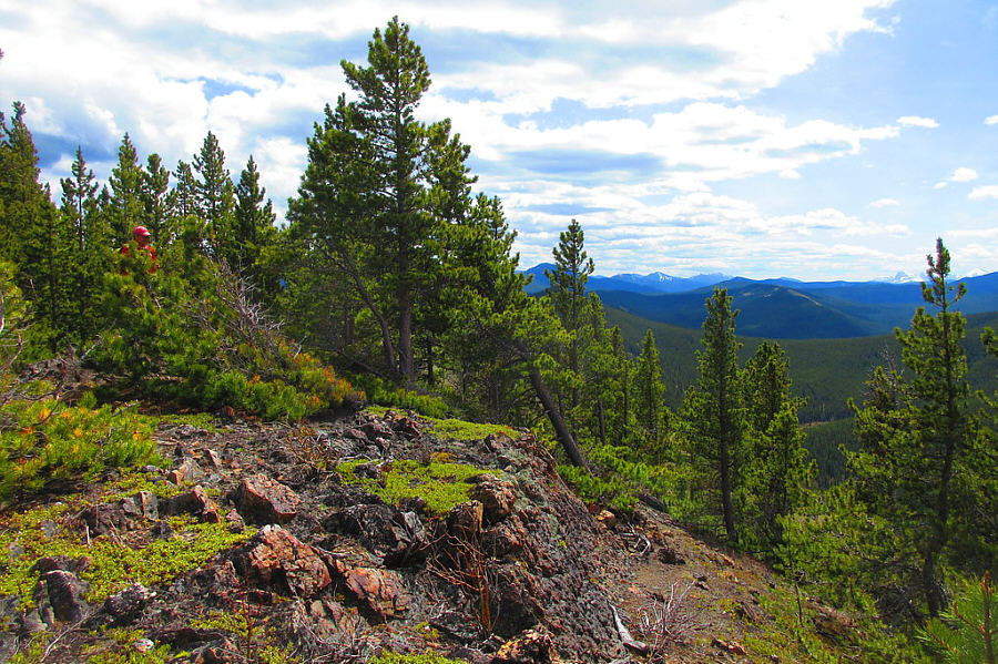 Close enough anyway!