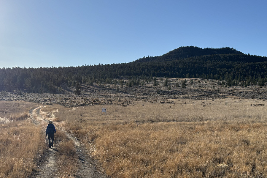 "No Trespassing"? No problem!