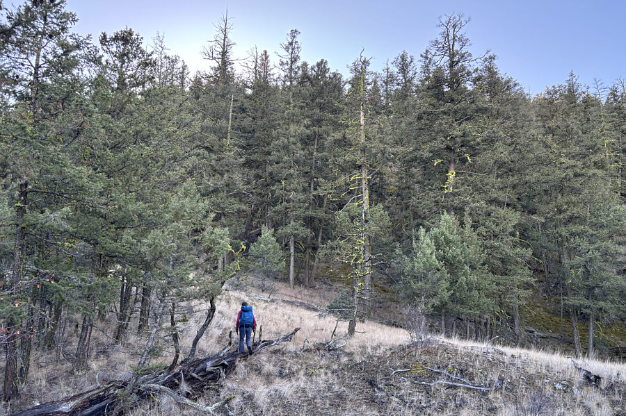 Thank you to the person who flagged the route!