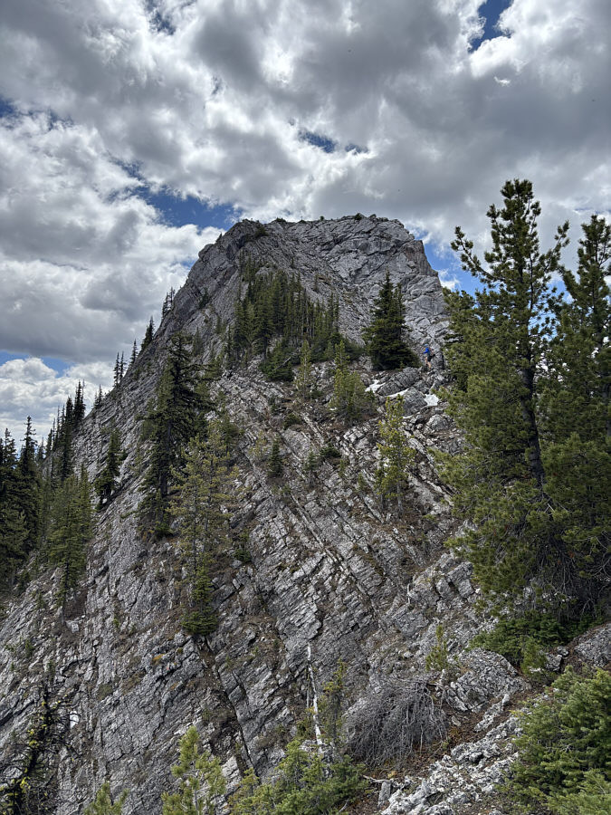 Looks less daunting up close!