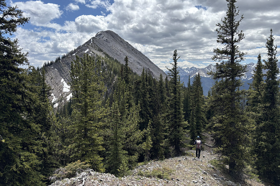 Glad it's not too bushy where the ridge crest is covered with trees.
