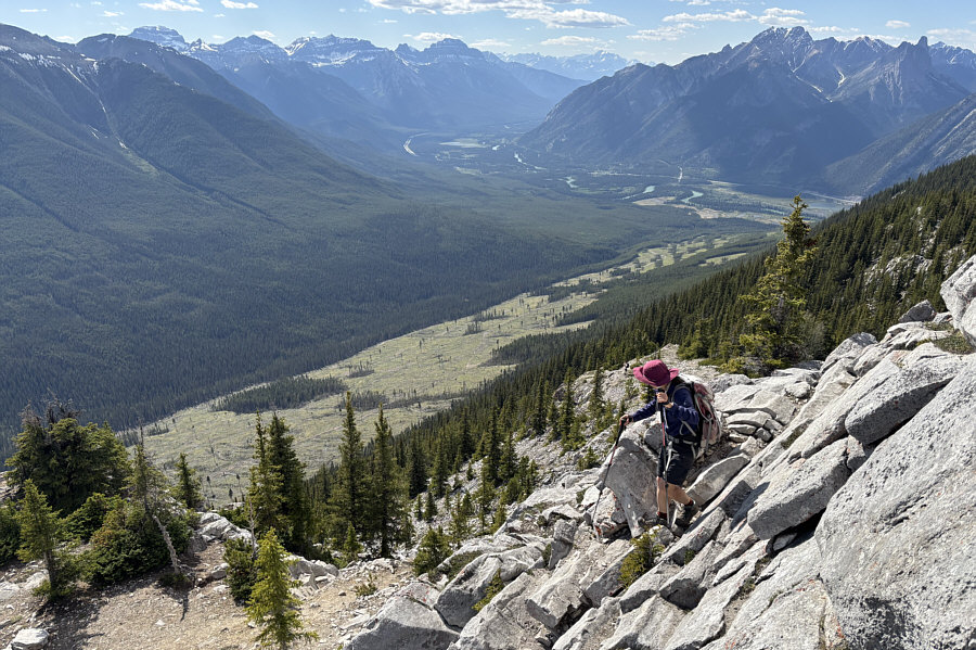 We should come back and ski that clear cut below!