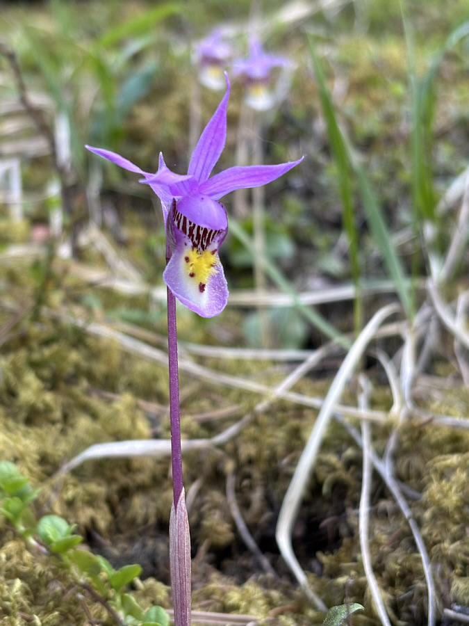 Always a crowd-pleaser!