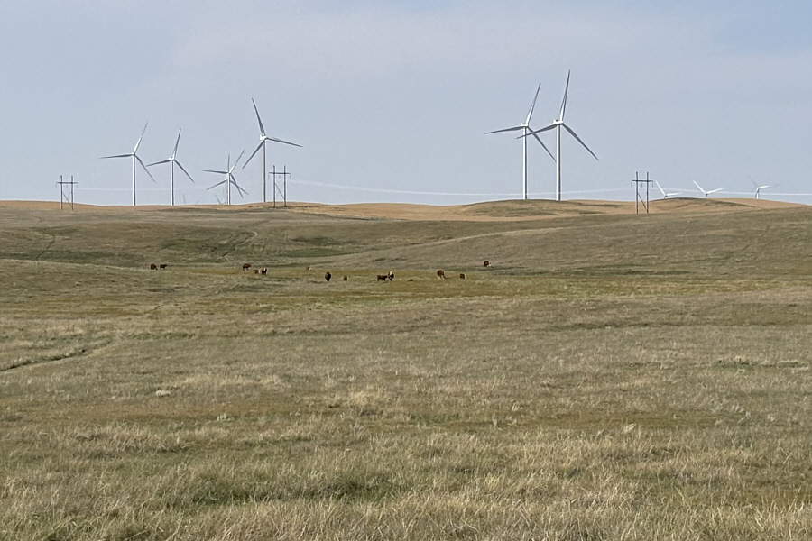 They're staring at us...