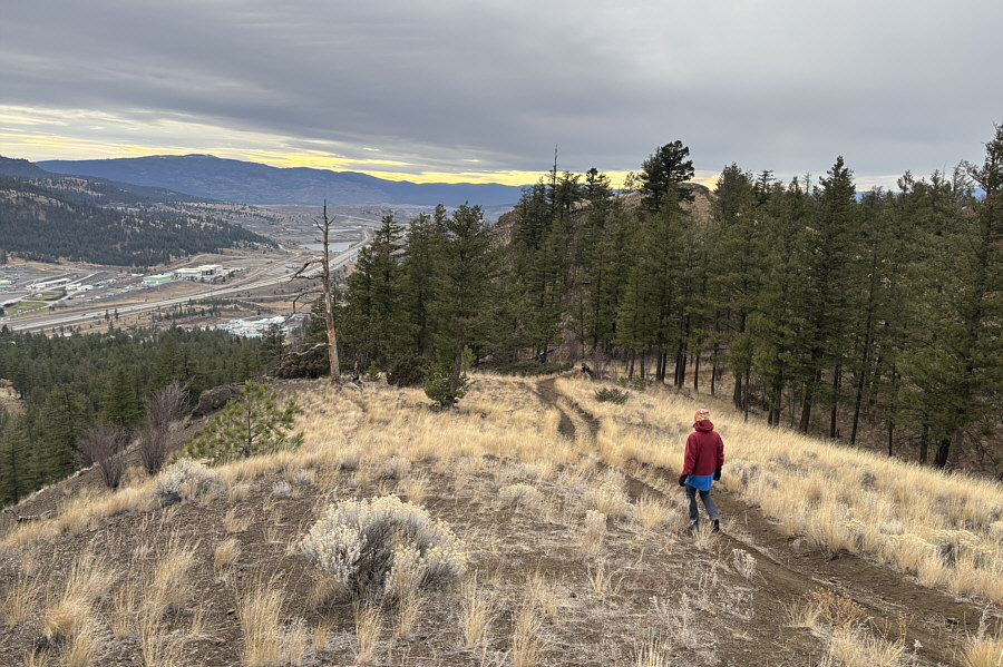 The outlier might even be the true high point...