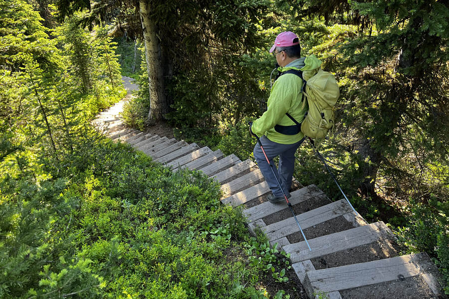 Why not just build an escalator here?