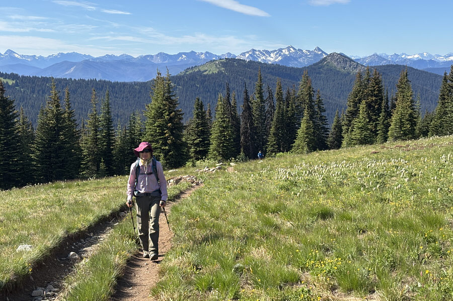 The start of a really enjoyable walk through sub-alpine meadows!