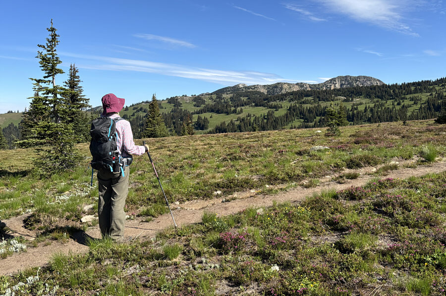 These meadows would be great for ski touring!