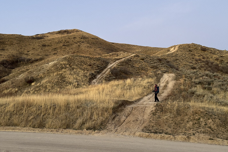 We spotted some deer higher up the ridge!