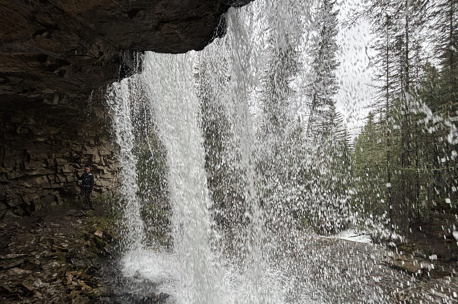 Someone left their underwear here...