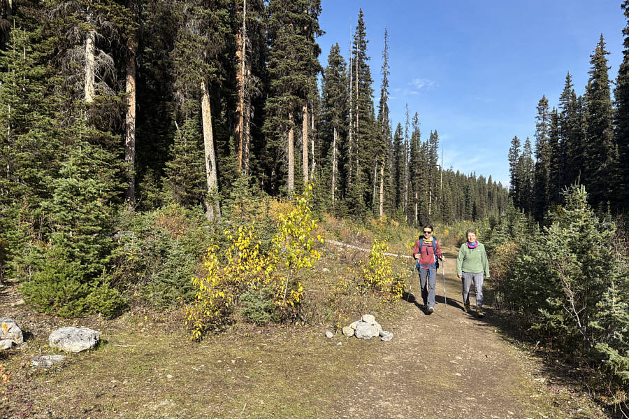 There were two baby carriages left here!