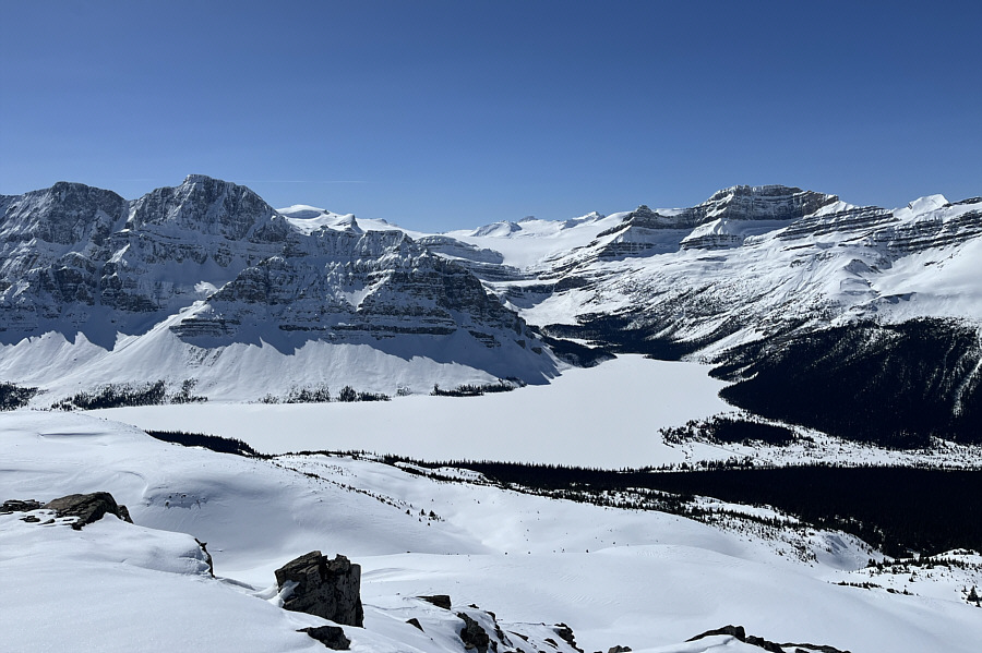 Would have been a glorious day to be on the Wapta Icefield!