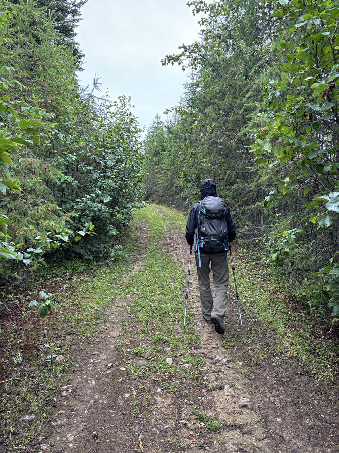 And looks good for driving except for the encroaching bushes!