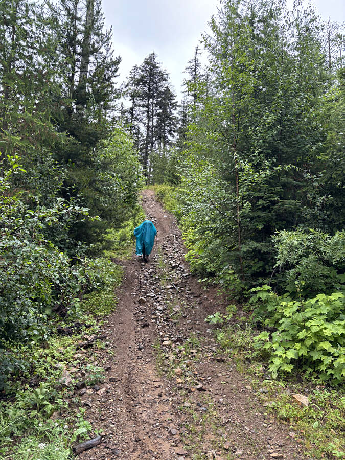 Looks like a blue ghost on the road!