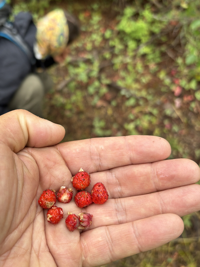 That made the hike worthwhile!