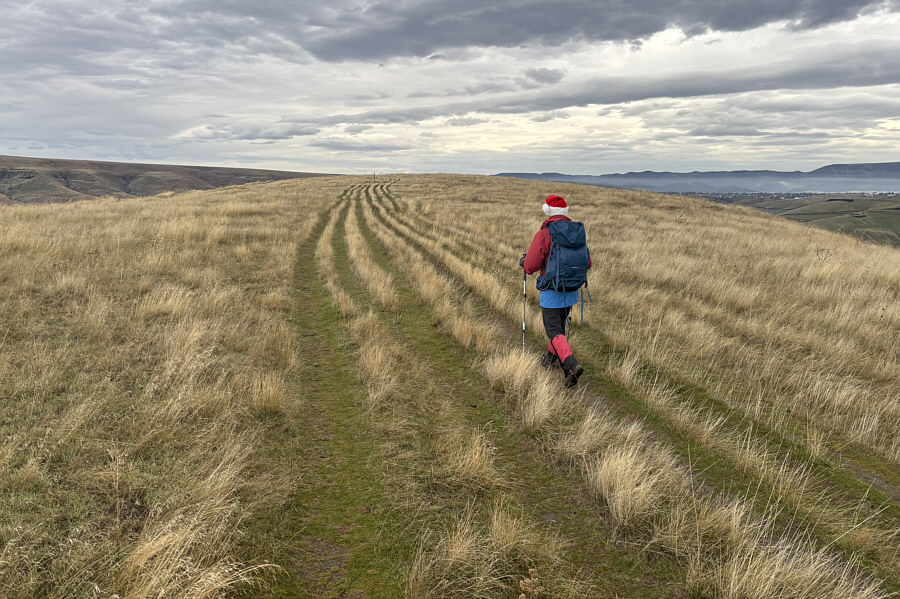 How many different tracks can you count?