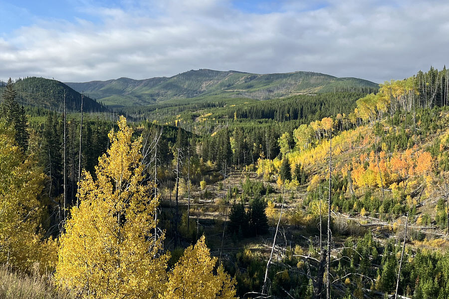 It caught my eye as we were skiing here last winter.