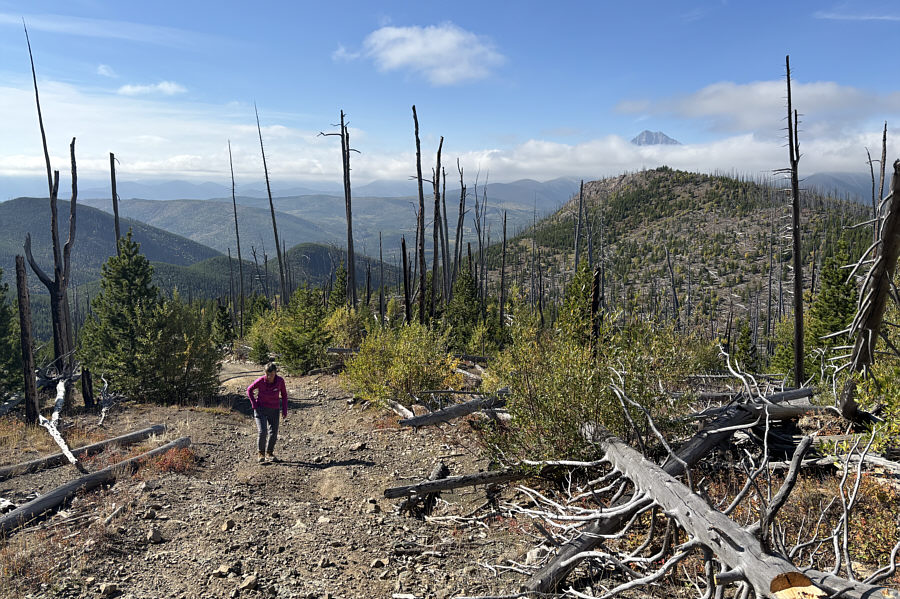 Teresa is still going strong!