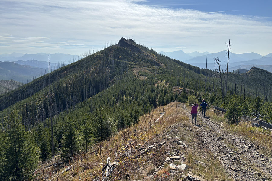 I wonder which bump at the top is higher...