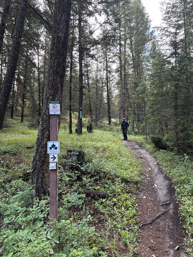 The nearby toilet is very nice and convenient!