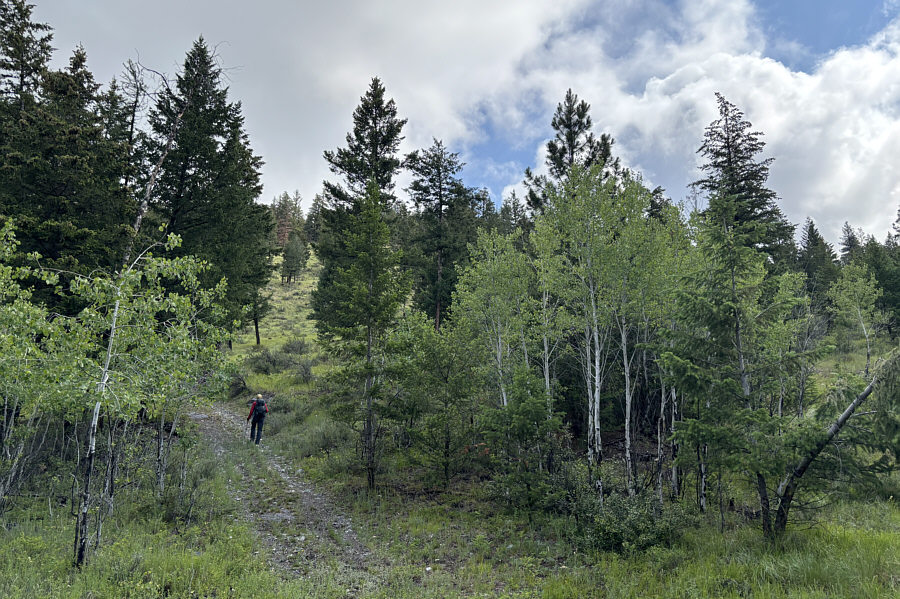 This is private land here--please be respectful!