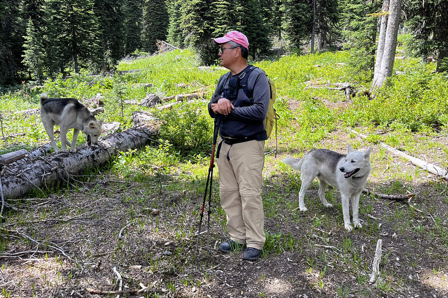 The dogs probably know of a better ascent/descent route!