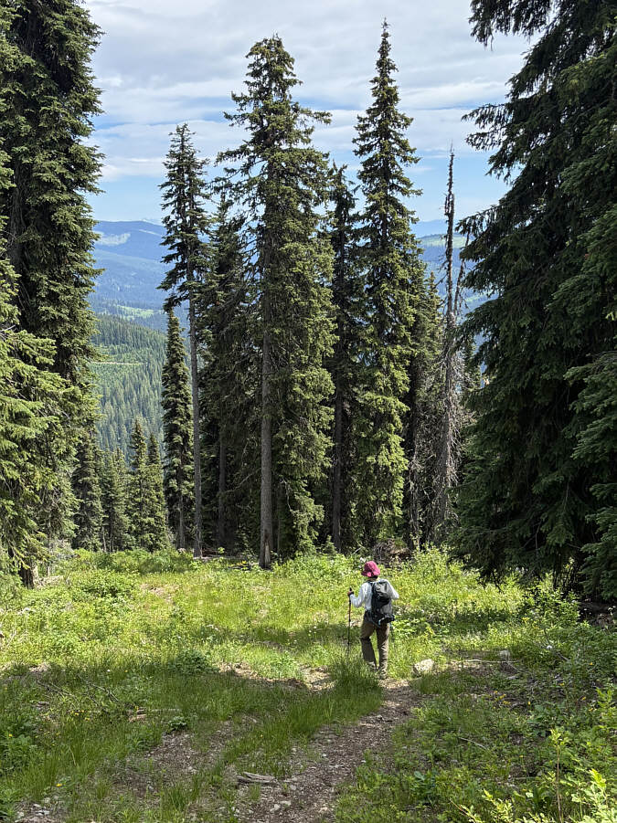It's very steep; it would be brutal to climb up this way!