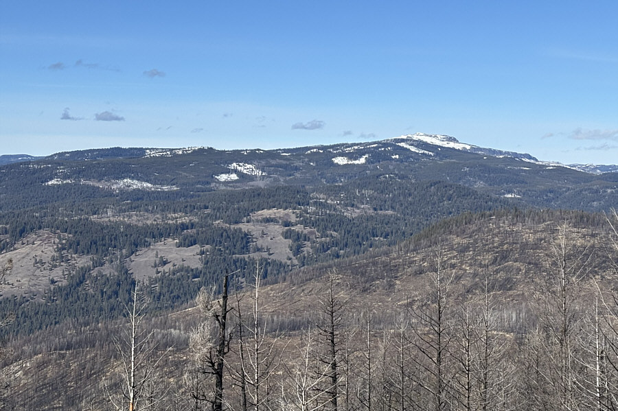 This one's high on my to-do list...