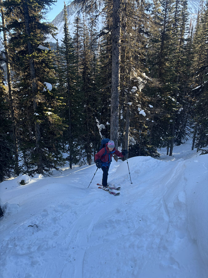 Much easier going up than coming down!