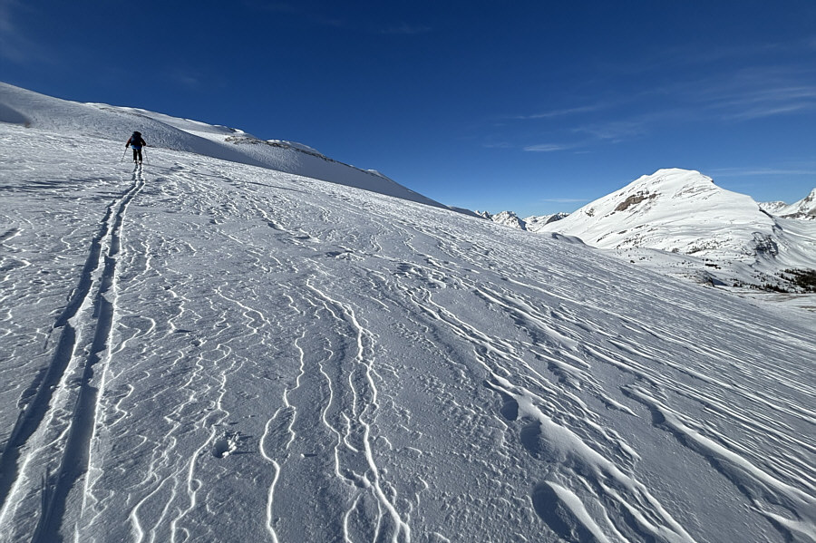 Cool patterns in the snow!