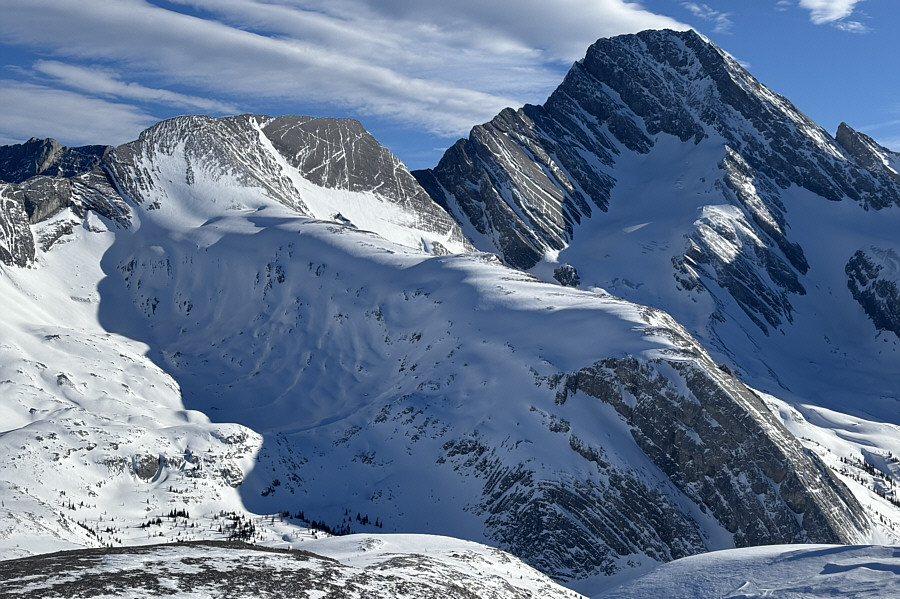 Almost didn't see them!