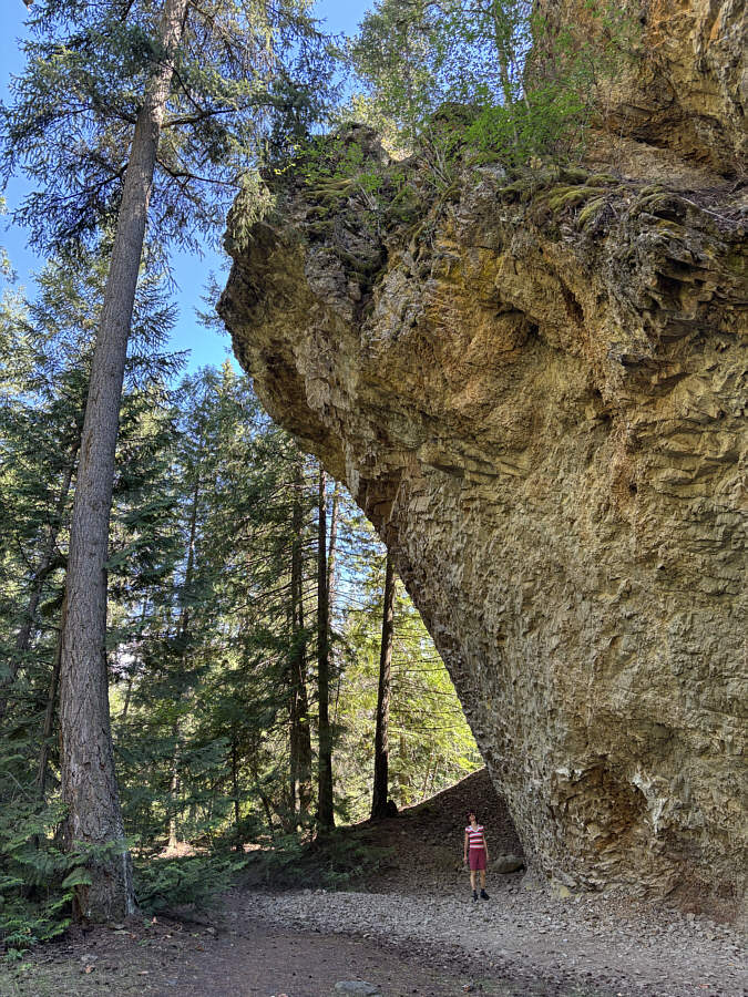 That tree is also amazing!