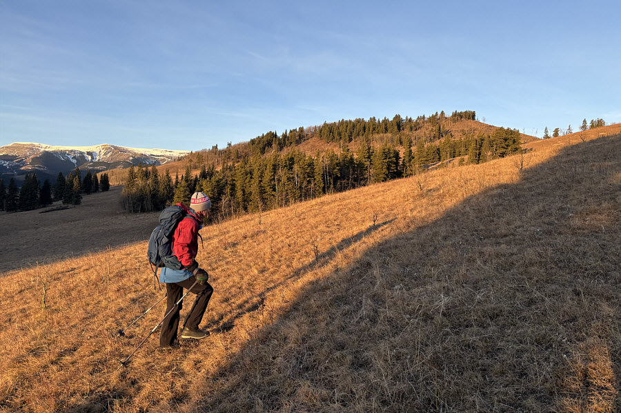 Feels amazingly warm for February!