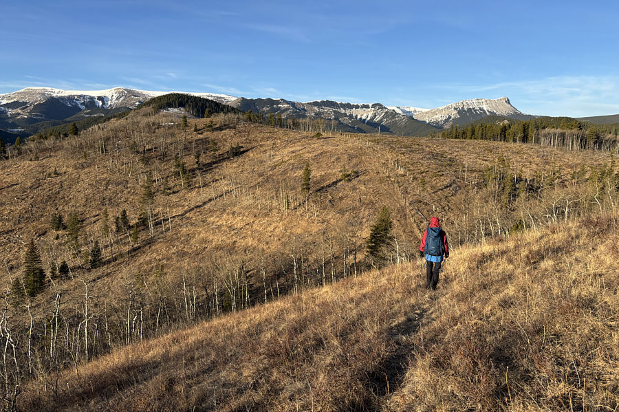 Lotsa dips on this trip!