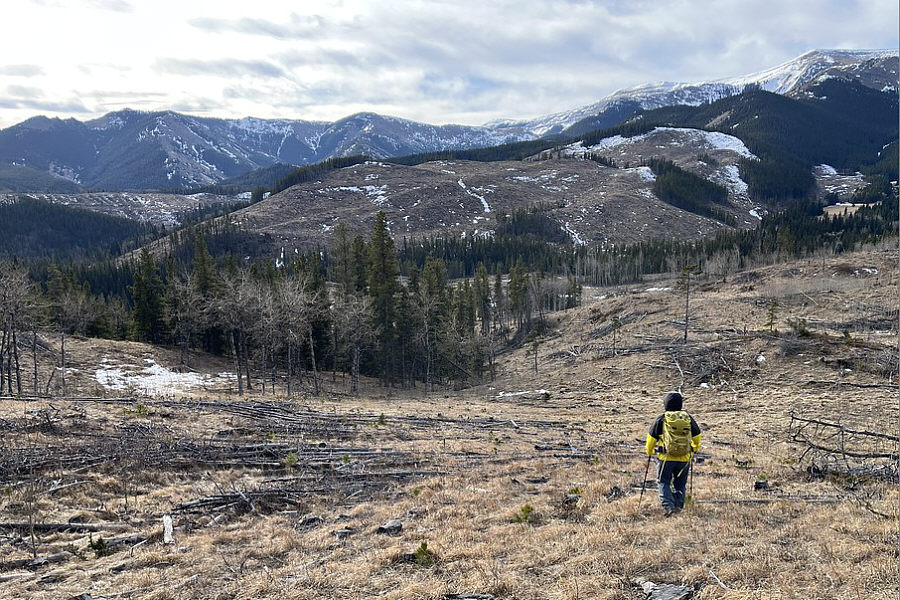 Nice slopes for ski touring...if ever there was any snow here!