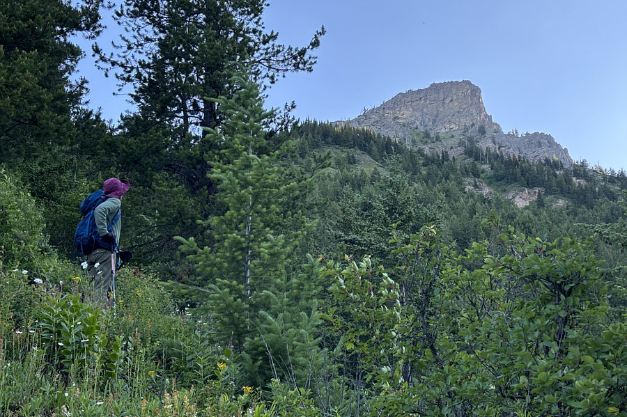 Still a lot of climbing left from here!