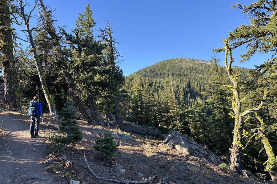 Looks like it's gonna be a beautiful bluebird day!