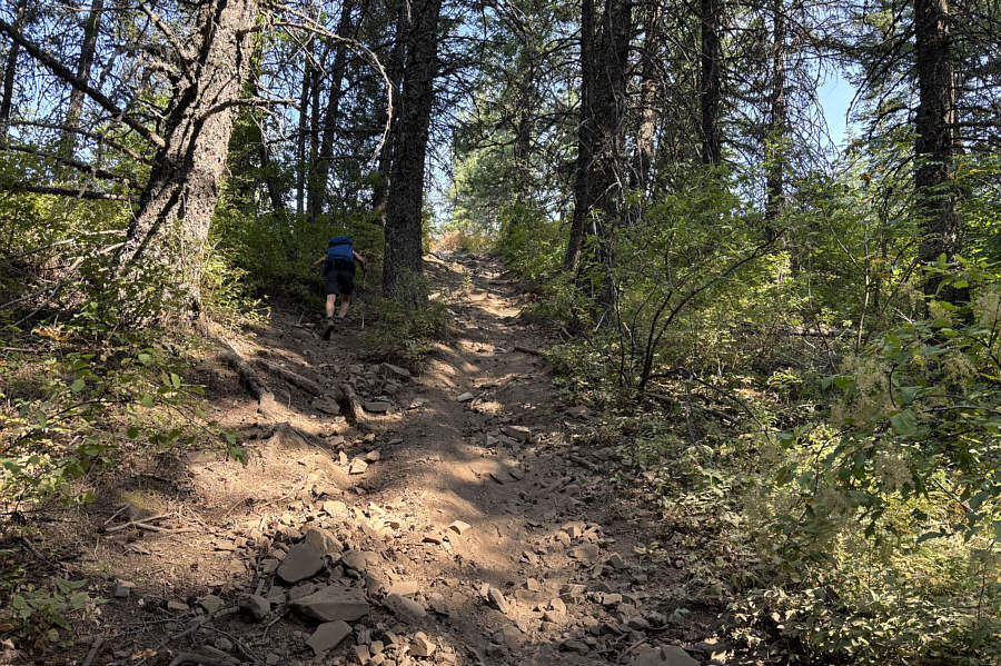 Definitely an eroded dirt bike trail.