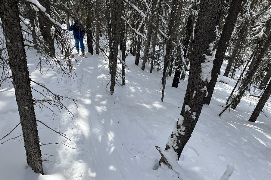 Skiing back down through here is always an adventure!