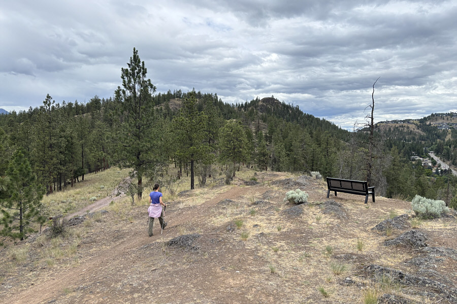 It's not necessary to visit this bench to ascend Mount Knox.