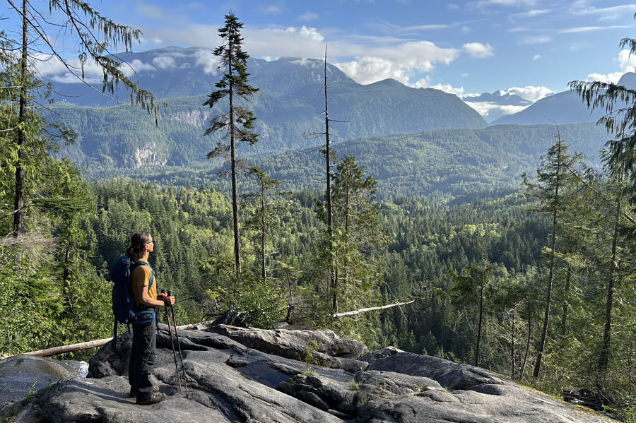 These are the last views for awhile until you reach the lake.